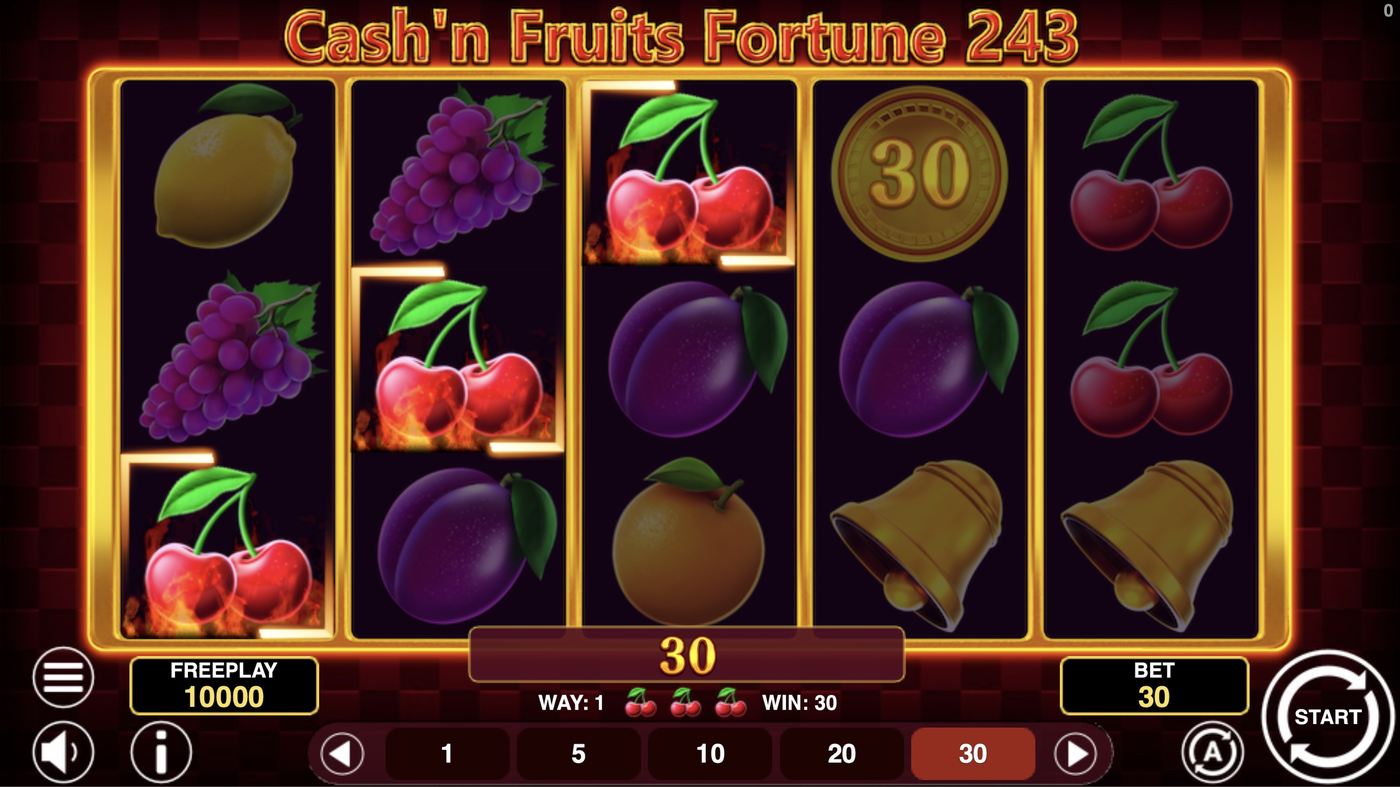 Cash'n Fruits Fortune 243: image of winning