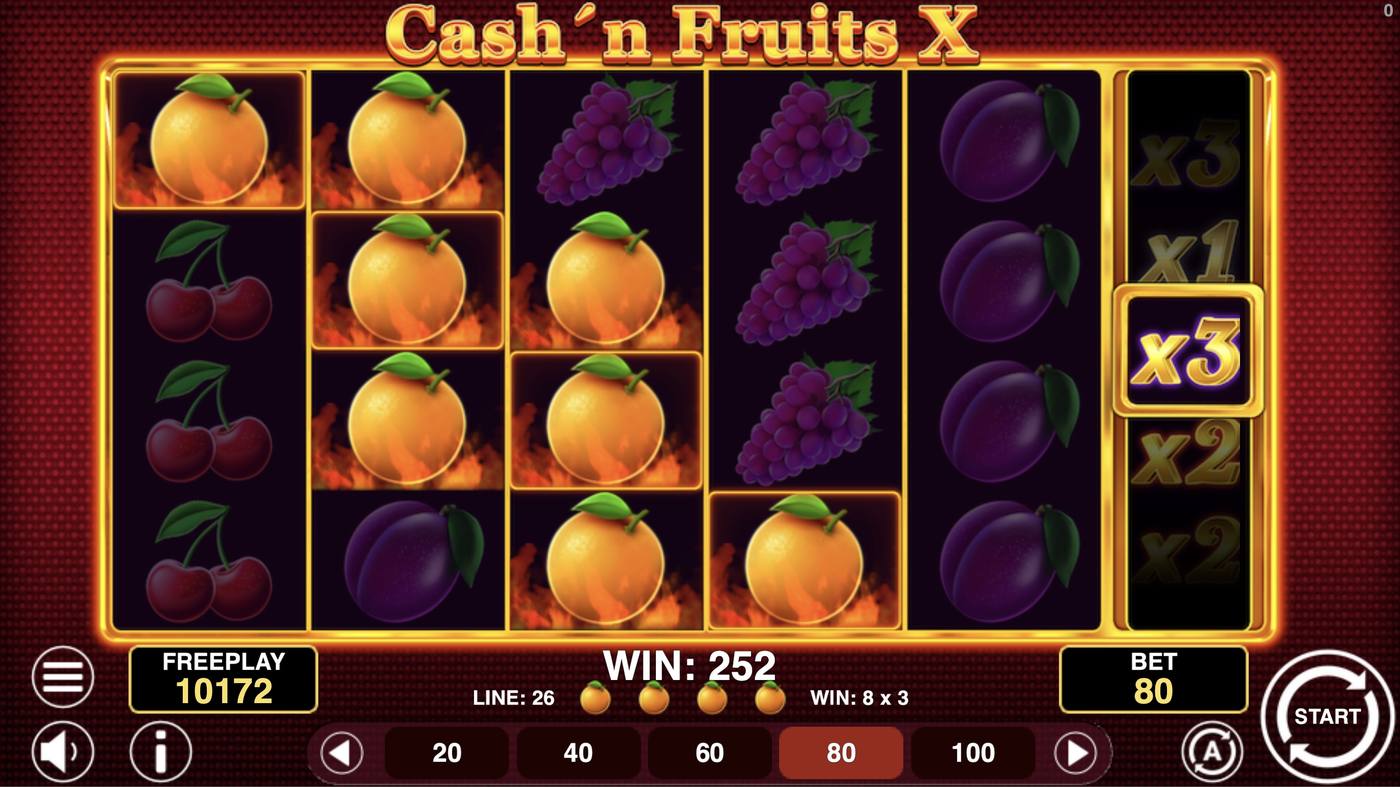 Cash'n Fruits X: image of winning