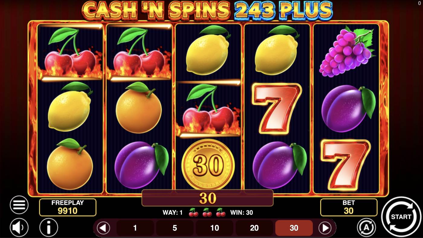 Cash'n Spins 243 Plus: image of winning