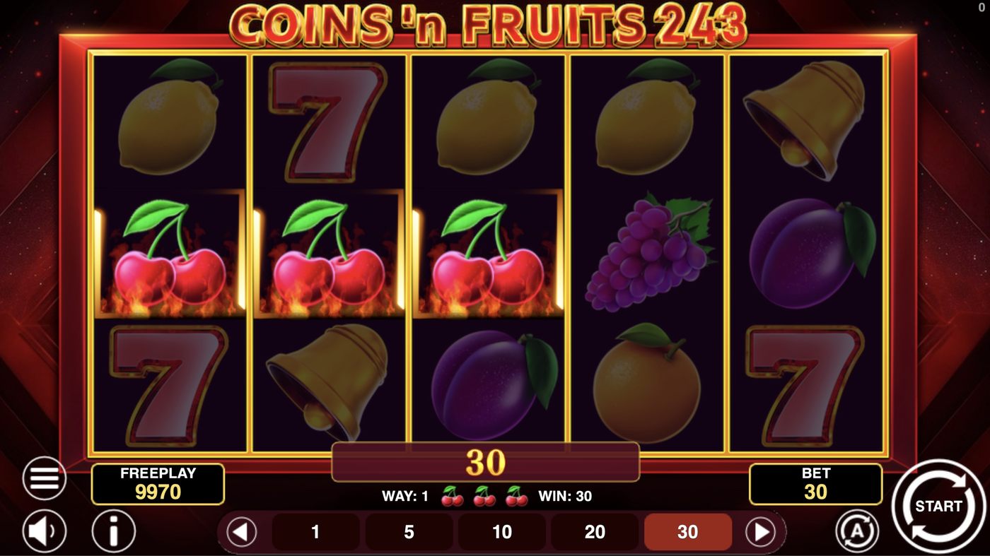 Coins'n Fruits 243: image of winning