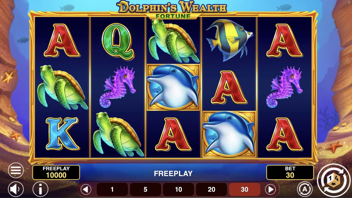 Dolphin's Wealth Fortune: image of main menu