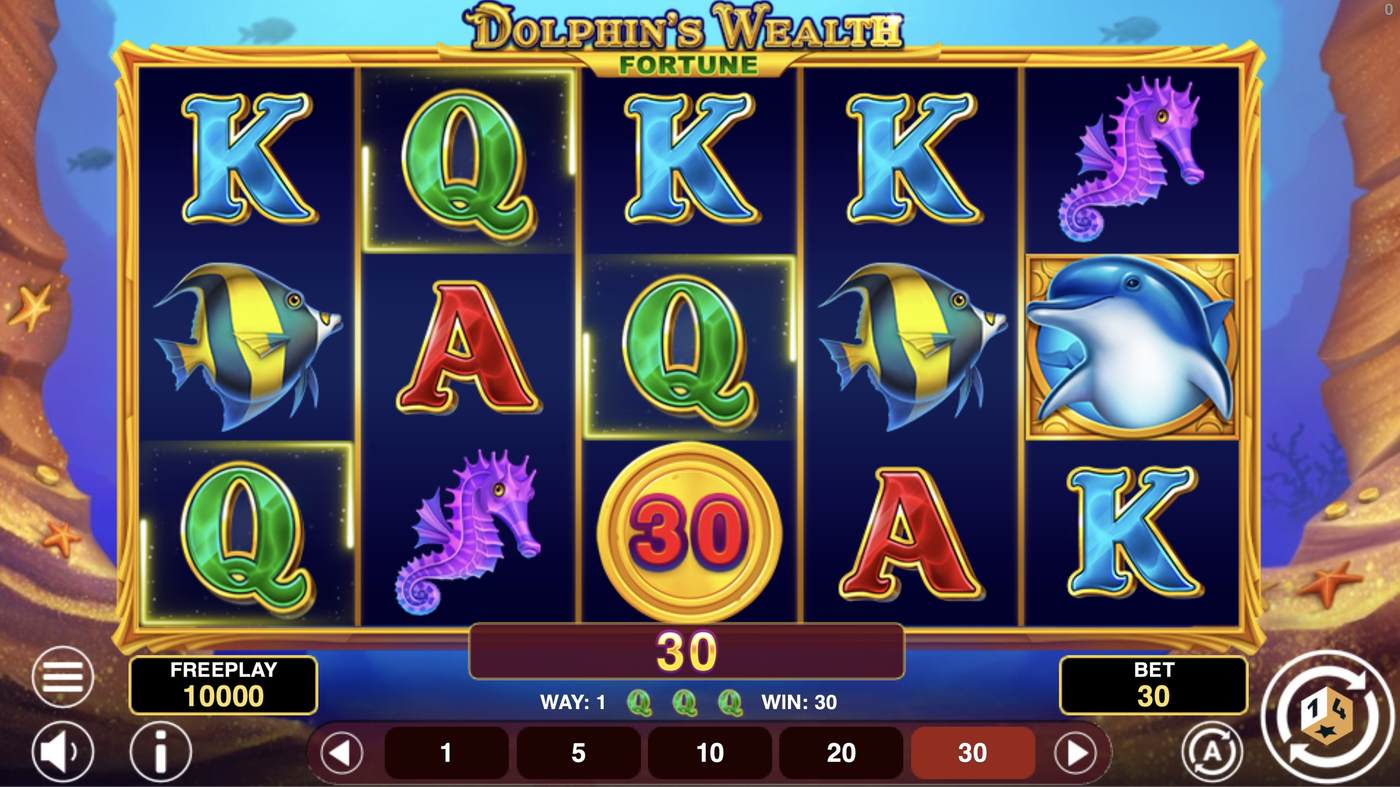 Dolphin's Wealth Fortune: image of winning