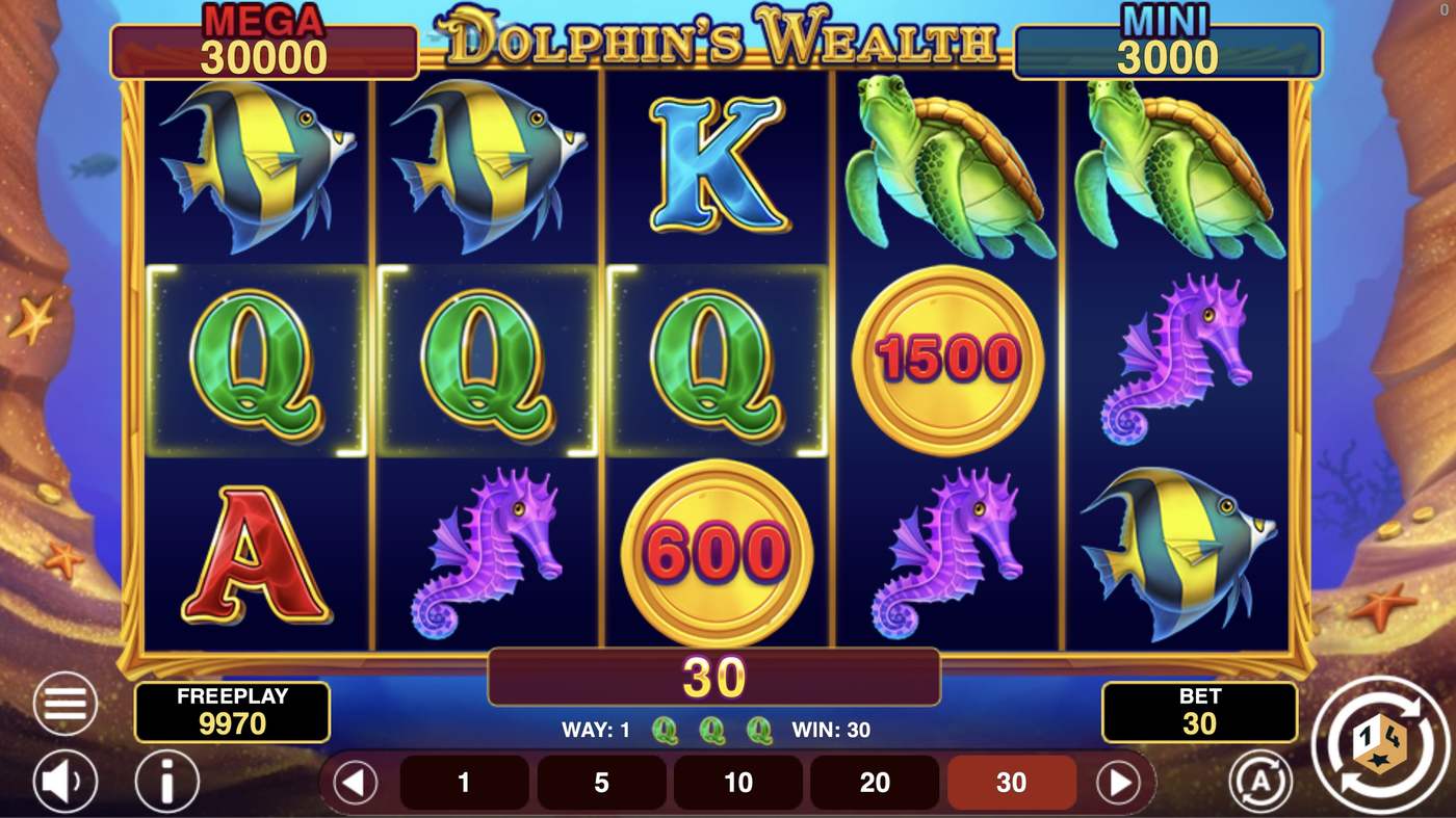 Dolphin's Wealth Hold And Win: image of winning