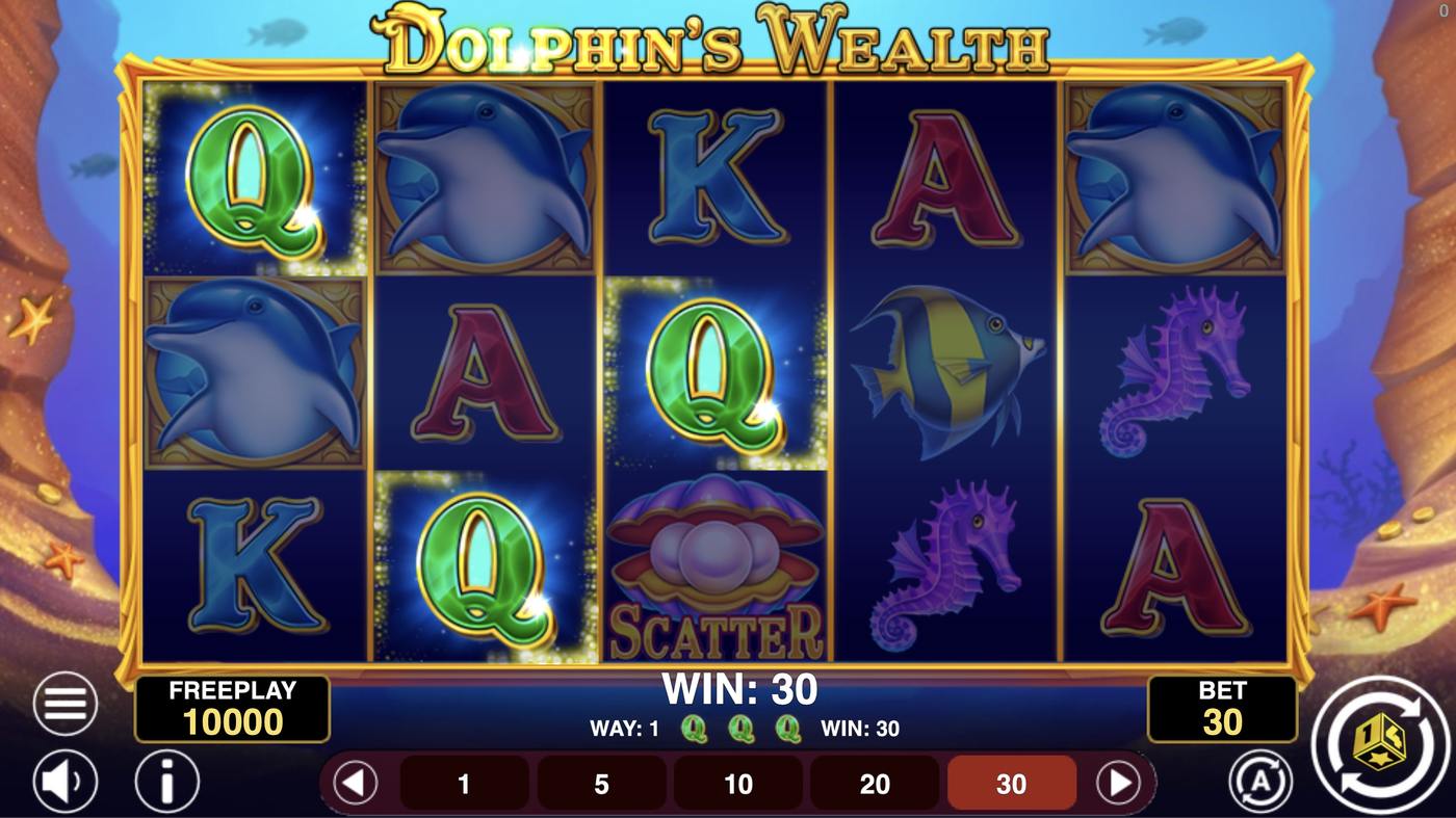 Dolphin's Wealth: image of winning