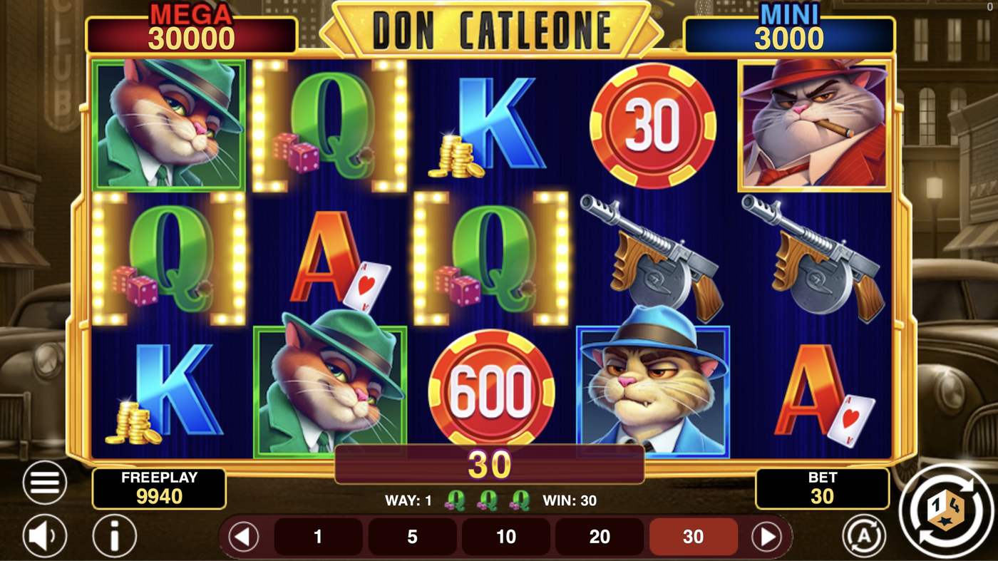 Don Catleone Hold And Win: image of winning