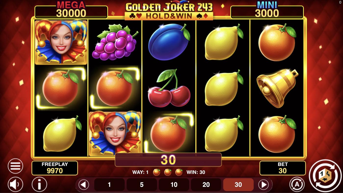 Golden Joker 243 Hold And Win: image of winning