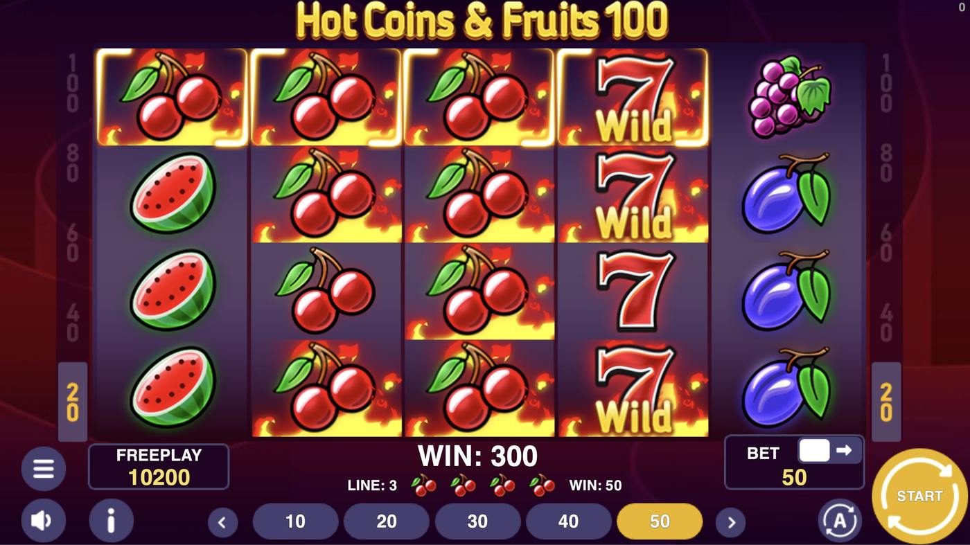 Hot Coins & Fruits 100: image of winning