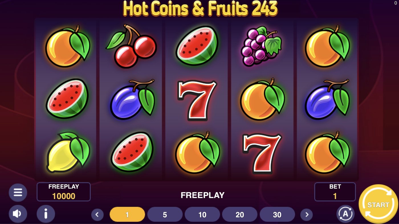 Hot Coins & Fruits 243: image of main menu