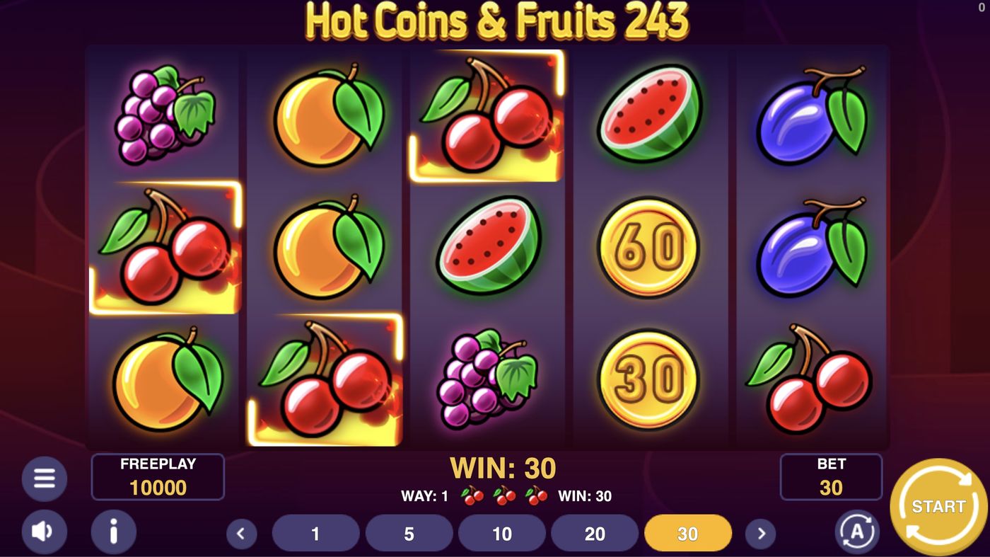 Hot Coins & Fruits 243: image of winning