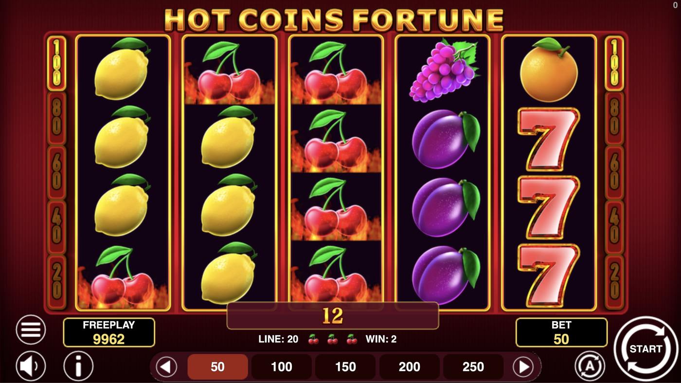 Hot Coins Fortune: image of winning