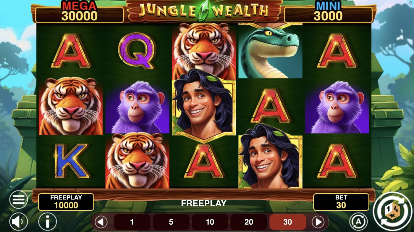 Jungle Wealth Hold And Win: image of main menu