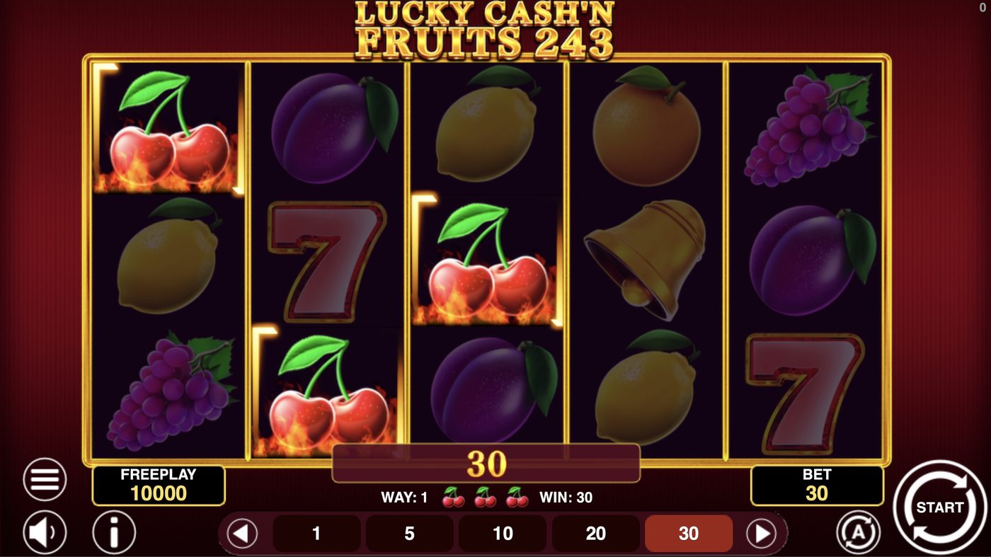 Lucky Cash'n Fruits 243: image of winning