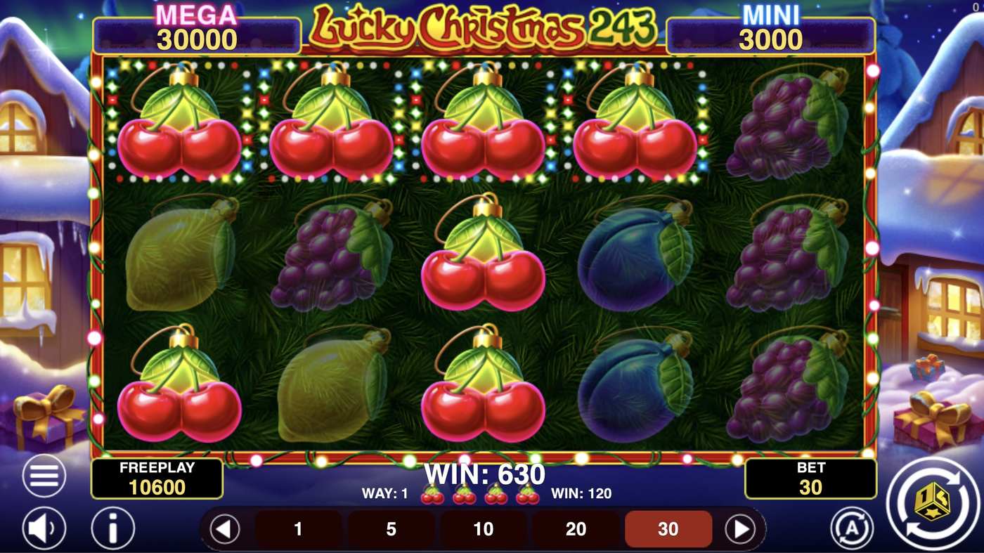 Lucky Christmas 243: image of winning
