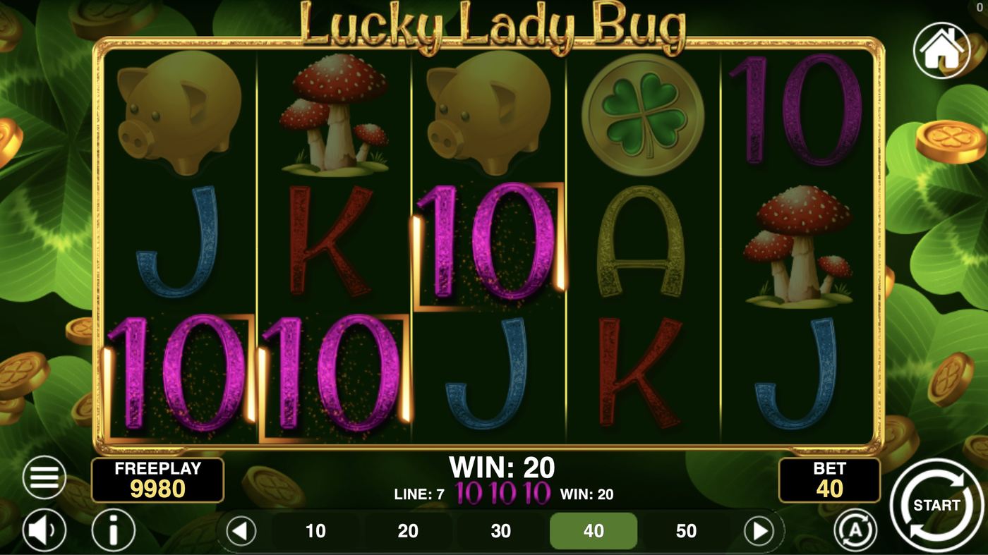Lucky Lady Bug: image of winning