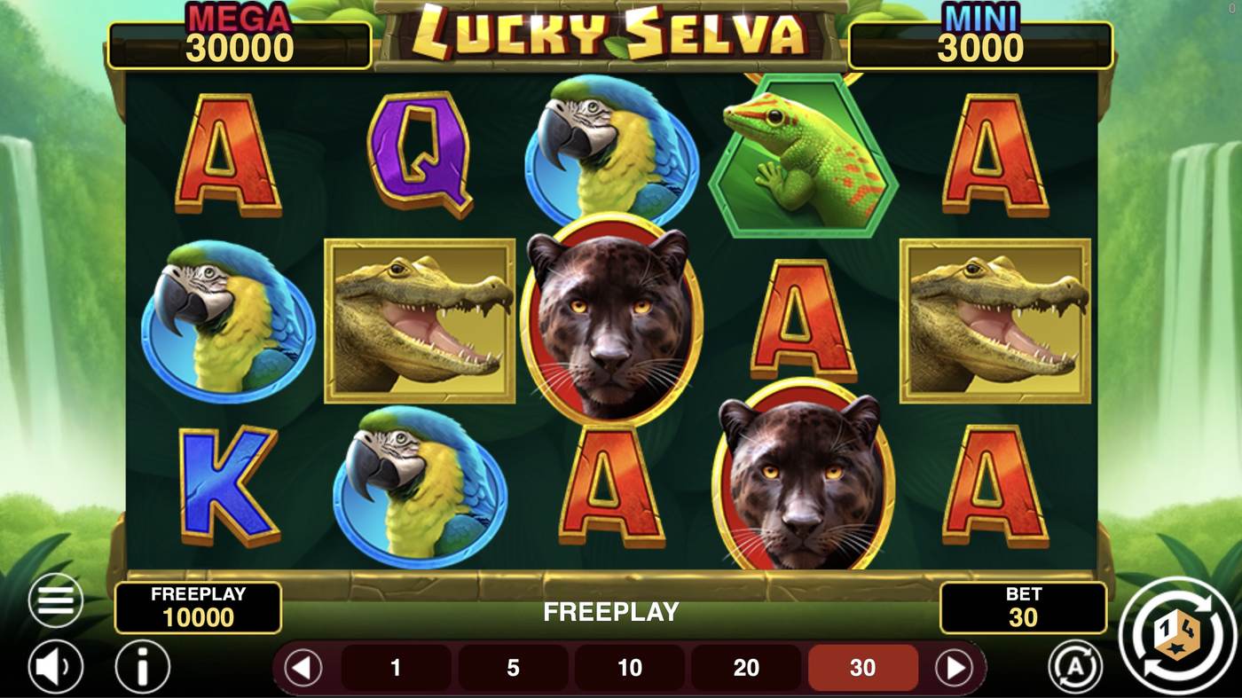 Lucky Selva Hold And Win: image of main menu