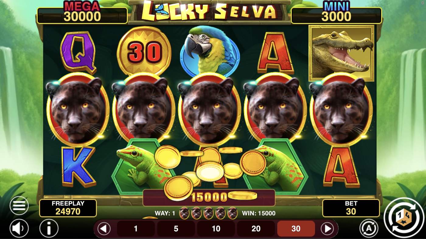 Lucky Selva Hold And Win: image of winning