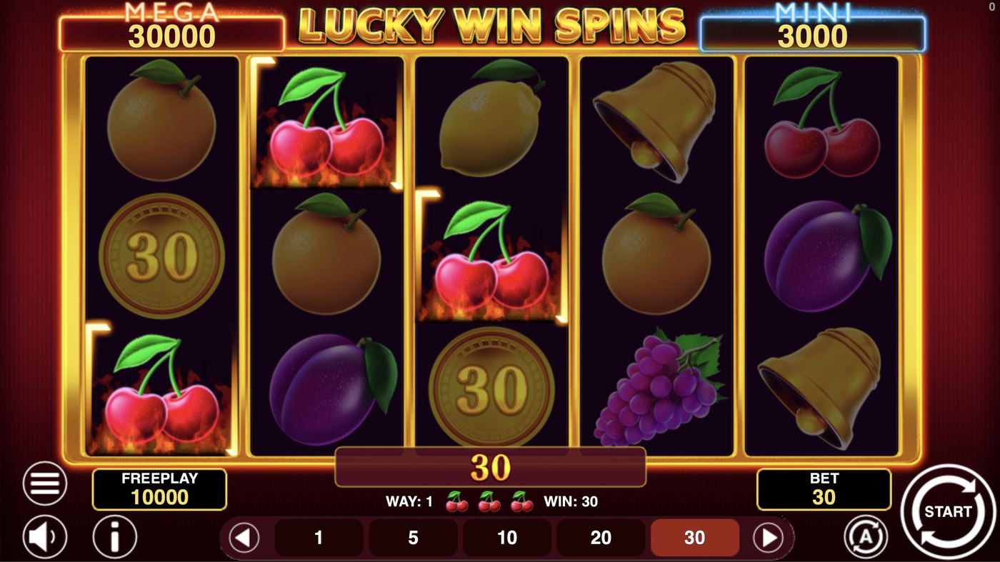 Lucky Win Spins: image of winning
