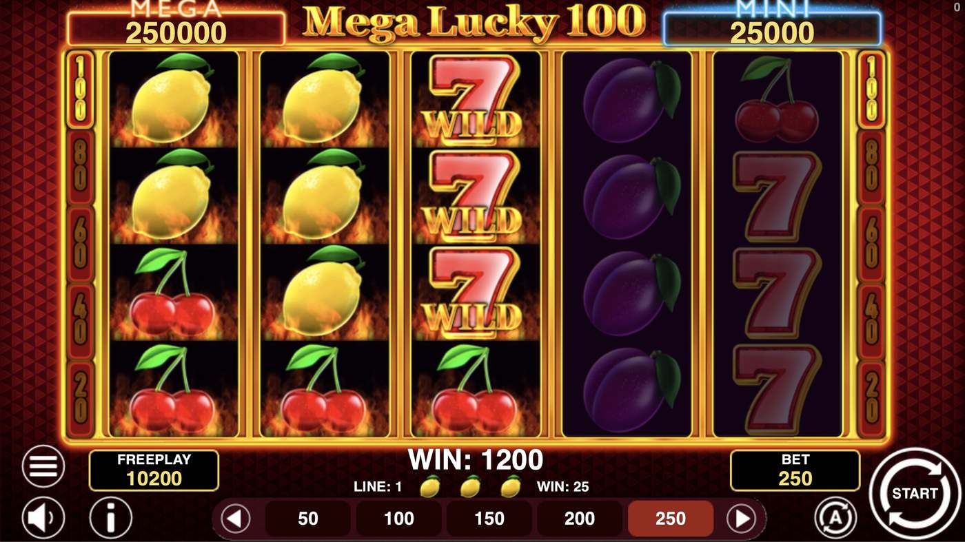 Mega Lucky 100: image of winning