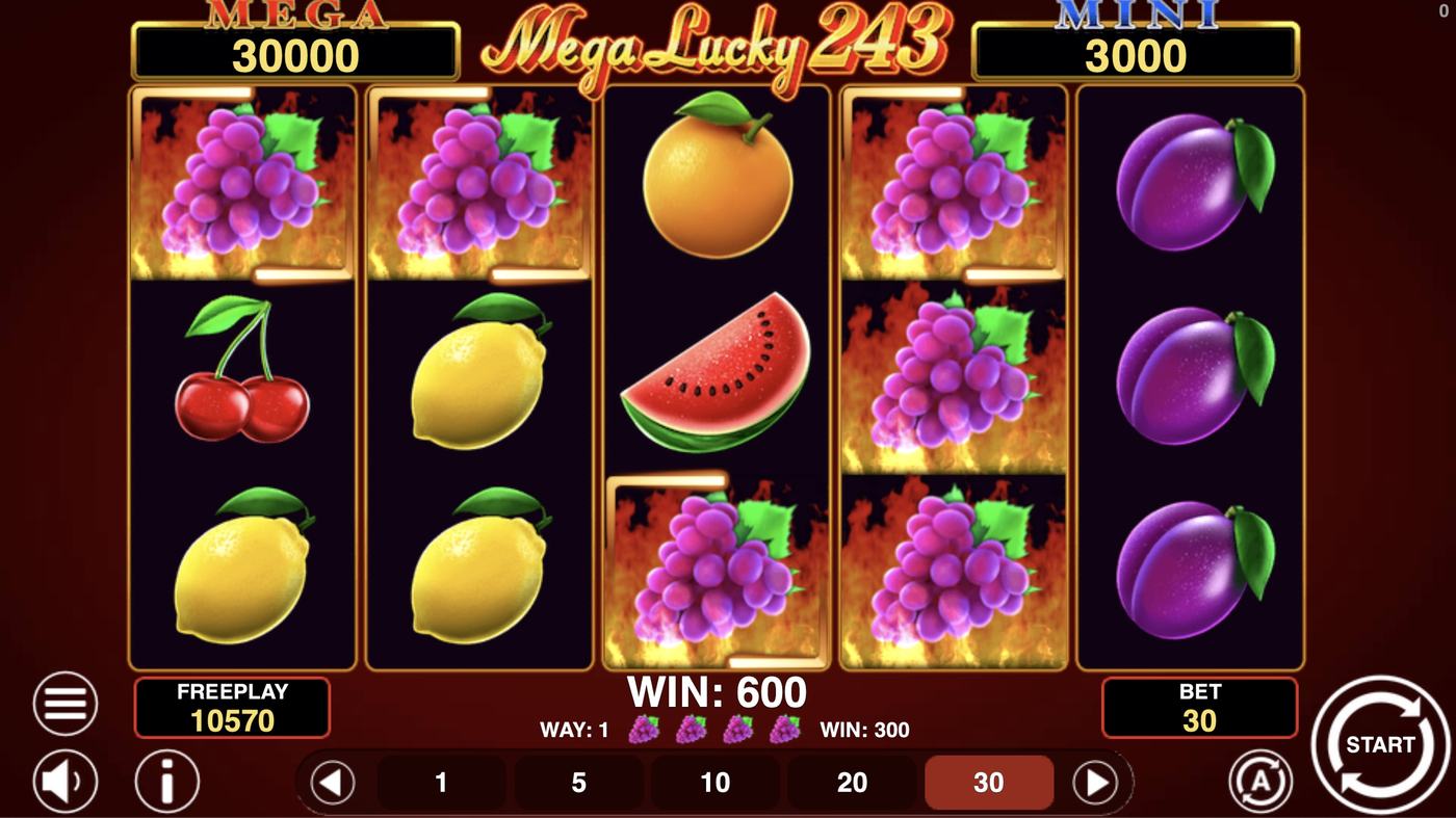 Mega Lucky 243: image of winning