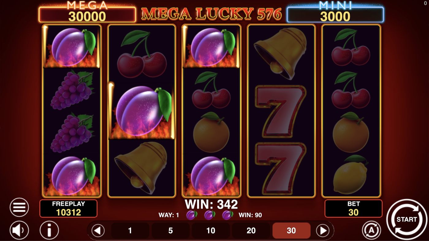 Mega Lucky 576: image of winning