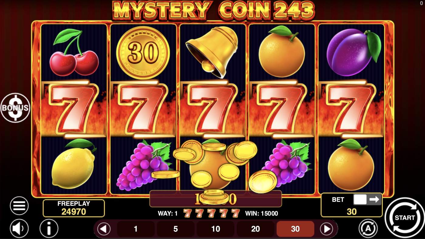 Mystery Coin 243: image of winning
