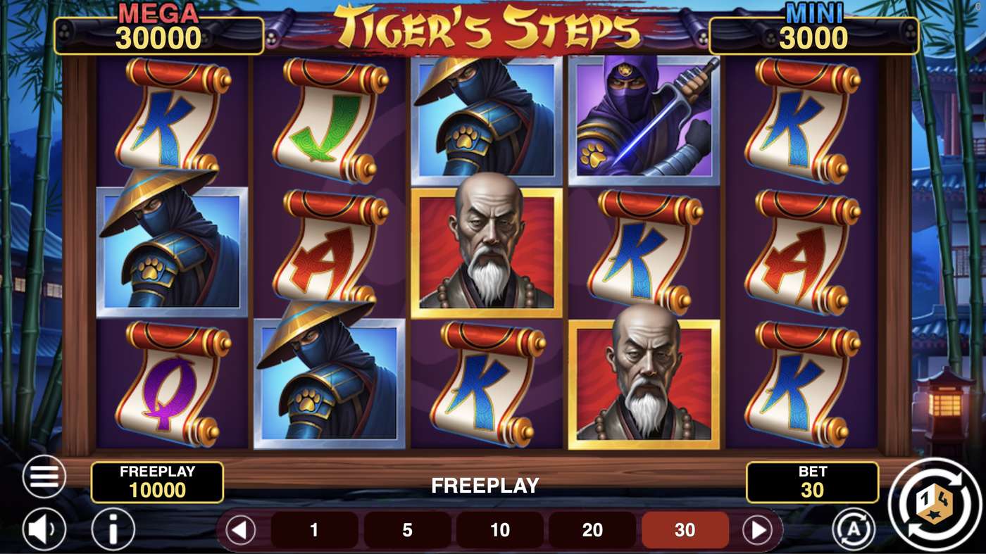 Tiger's Steps Hold And Win: image of main menu