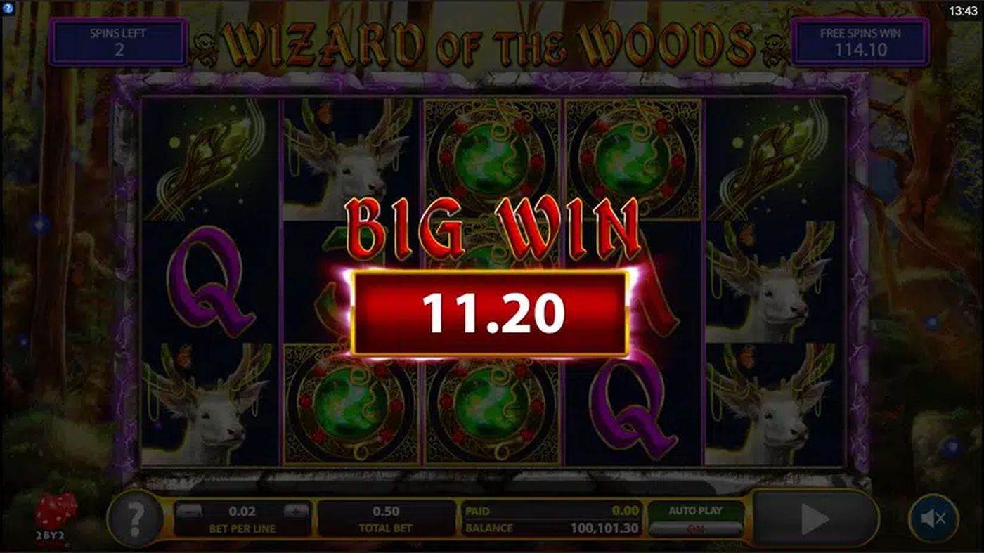 Wizard of the Woods: image of winning