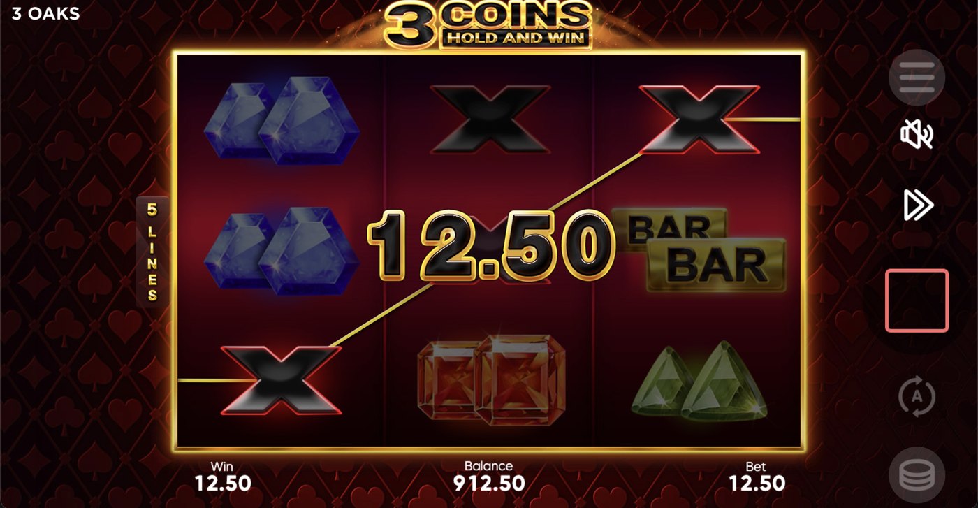 3 Coins: Hold and Win: image of winning