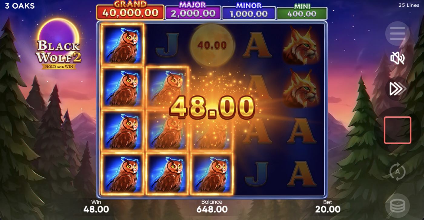 Black Wolf 2: image of winning