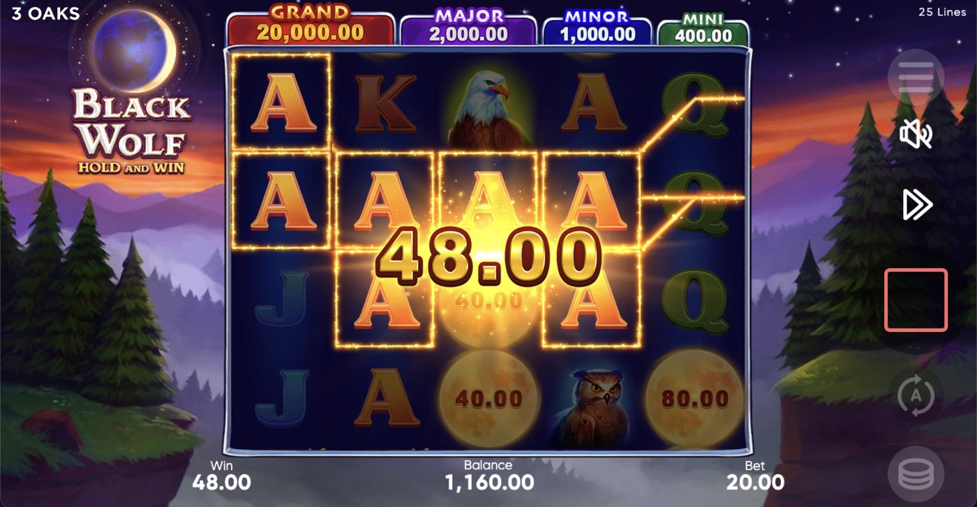 Black Wolf: image of winning