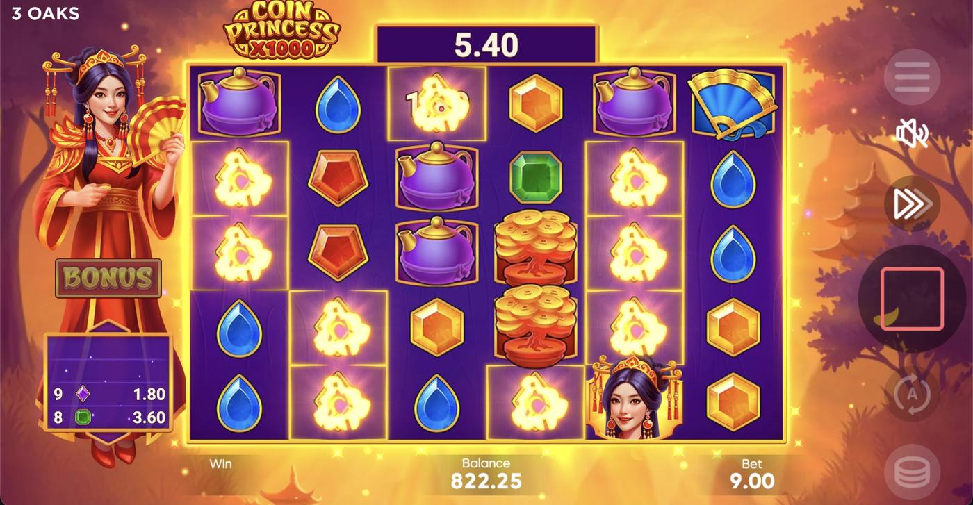 Coin Princess x1000: image of winning