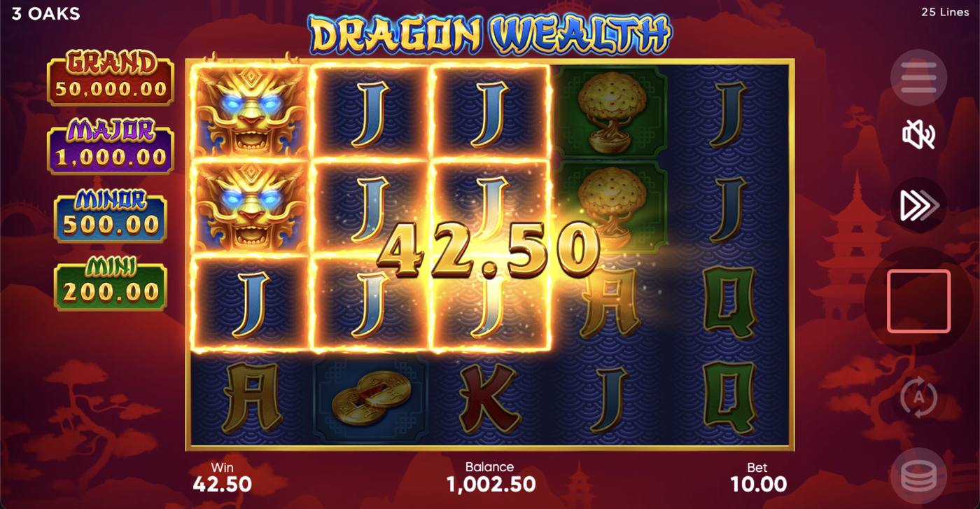 Dragon Wealth: image of winning