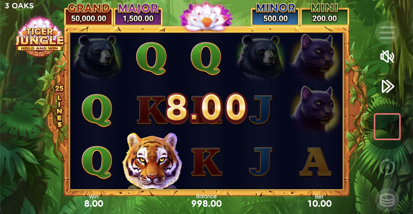 Tiger Jungle: image of winning