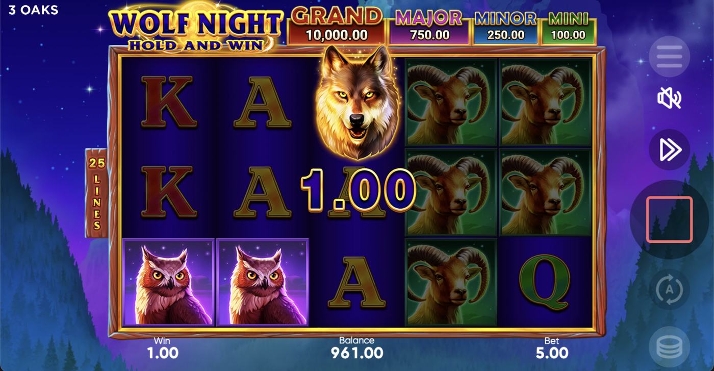 Wolf Night: image of winning