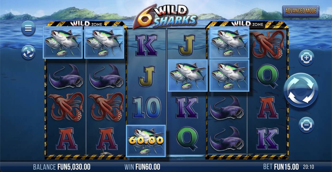 6 Wild Sharks: image of winning