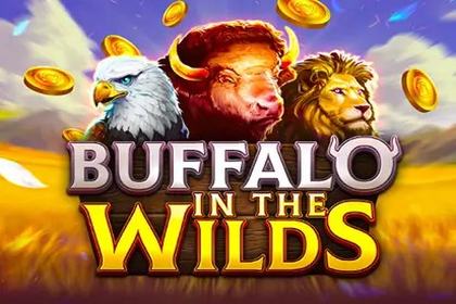 Buffalo in the Wilds Online Slot Logo