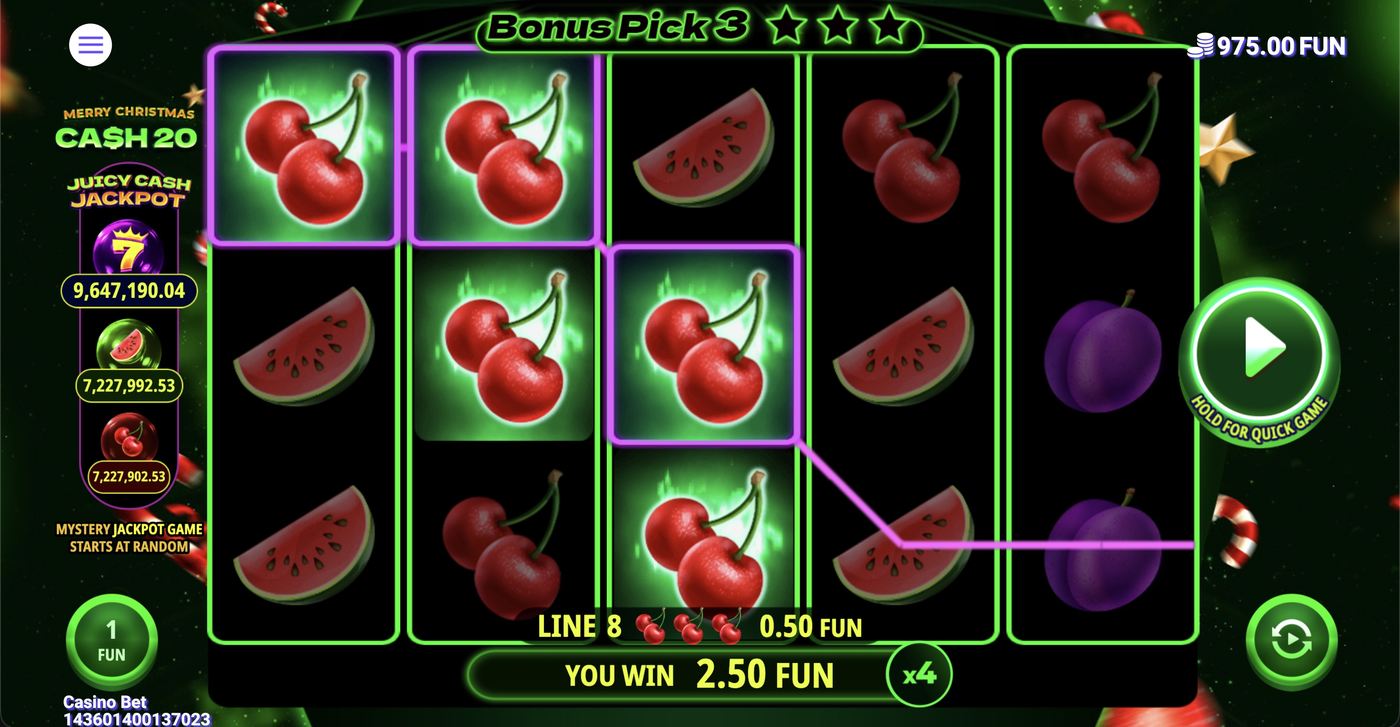 Cash 20 Christmas: image of winning