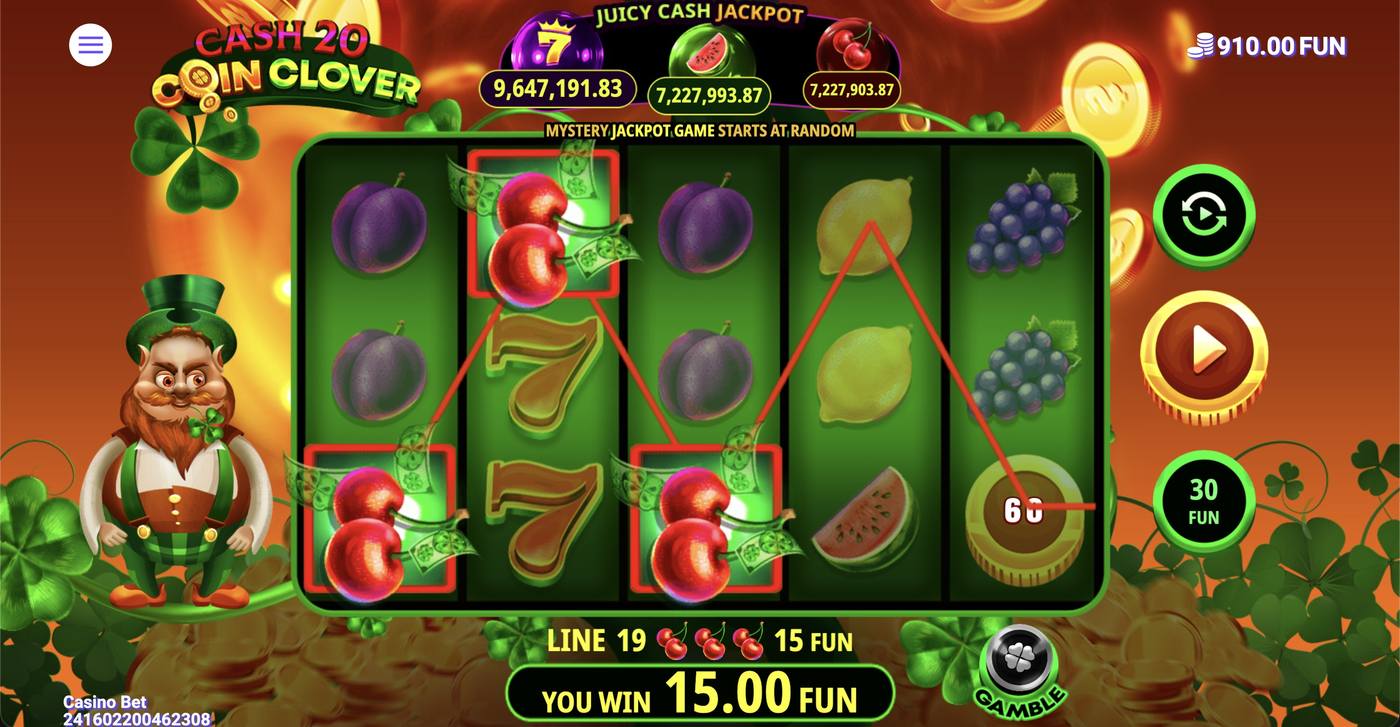 Cash 20 Coin Clover: image of winning