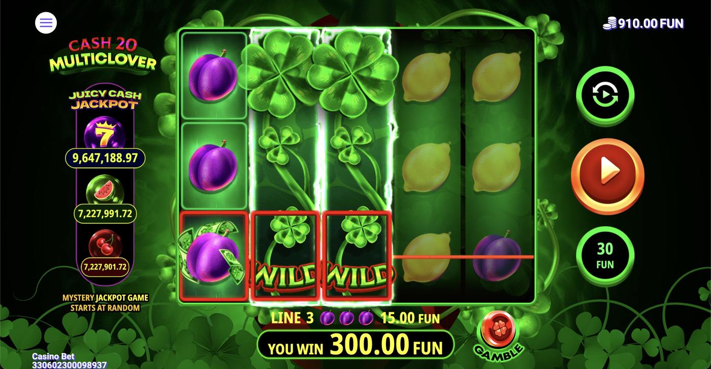 Cash 20 Multiclover: image of winning