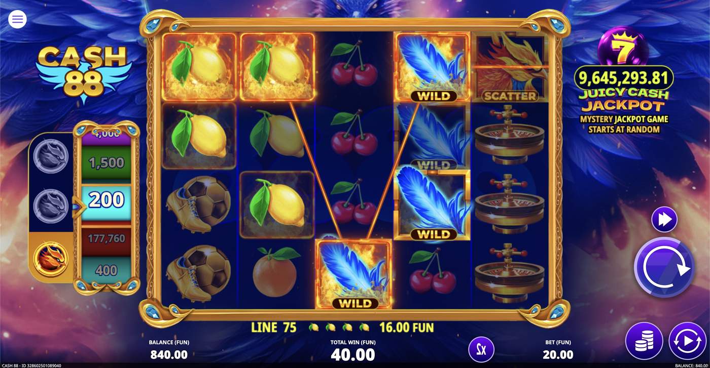 Cash 88: image of winning