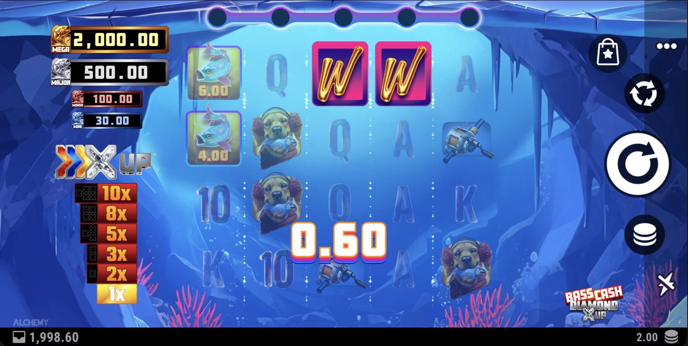 Bass Cash Diamond X UP: image of winning