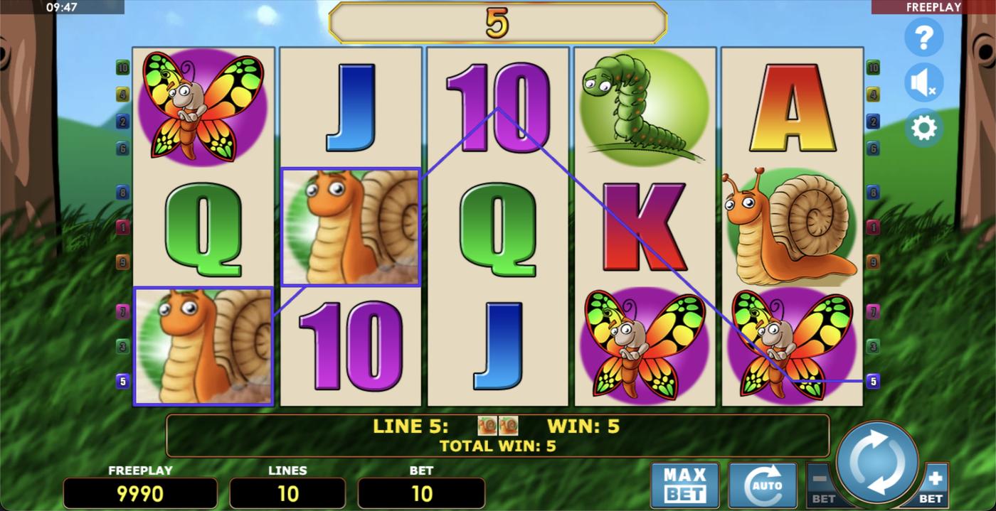 Crazy Bee: image of winning