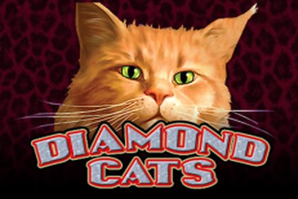 Diamond Cats Online Slot Logo