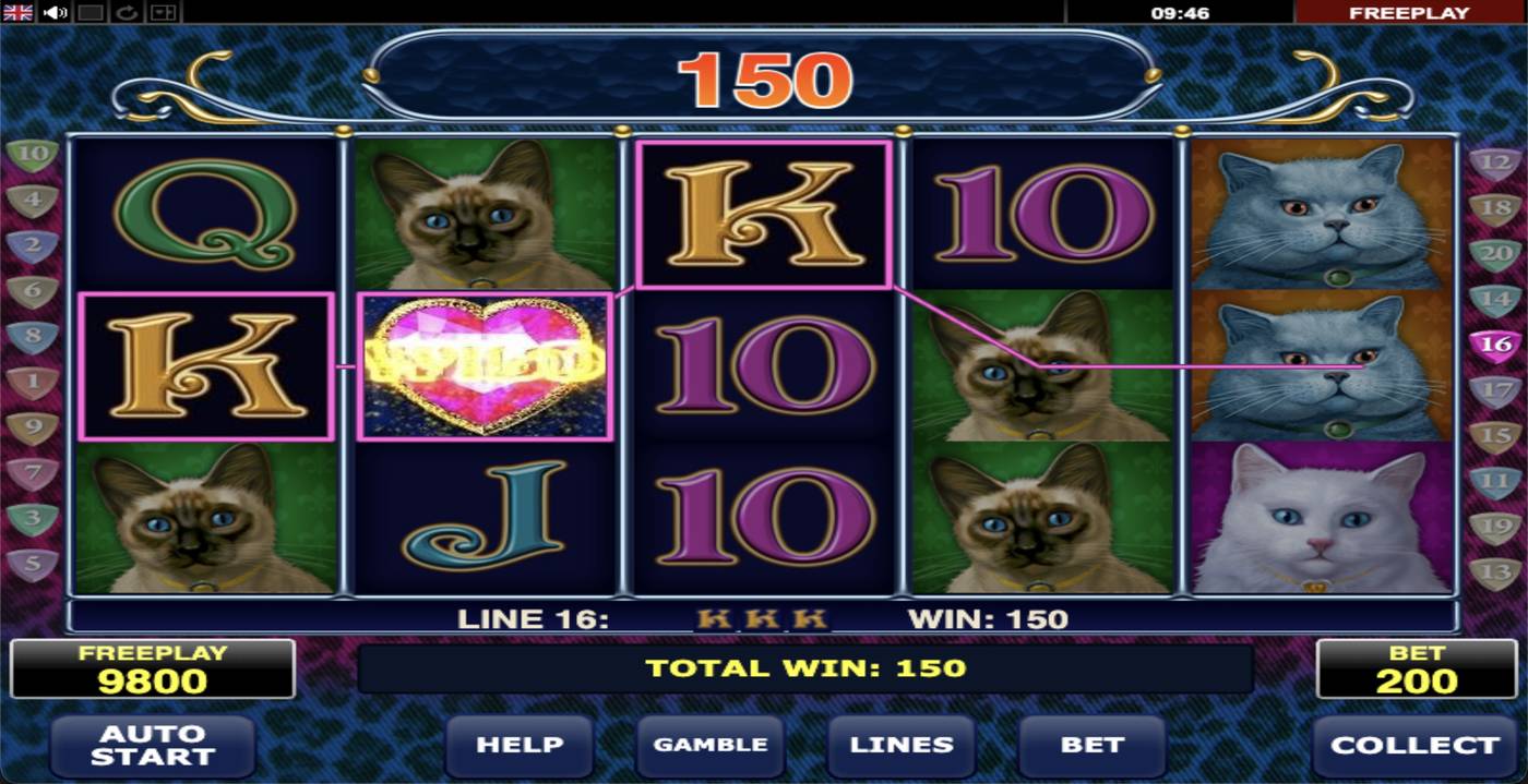 Diamond Cats: image of winning