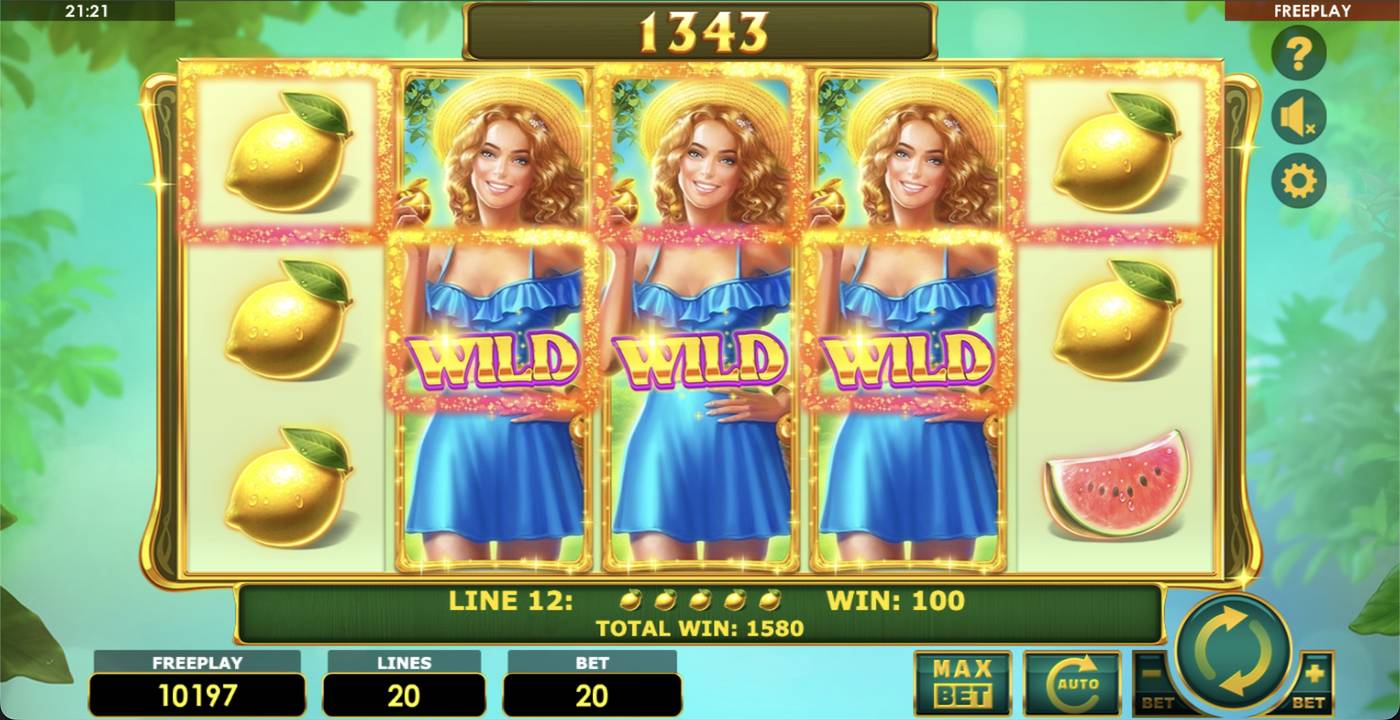Lady Fruits 20: image of winning