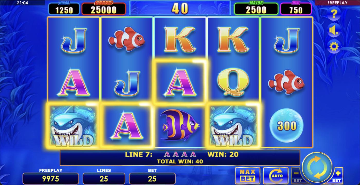 Lucky Shark: image of winning