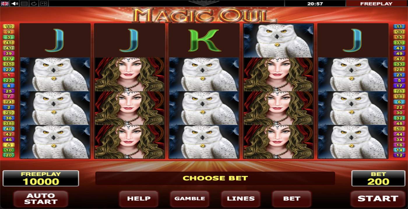 Magic Owl: image of main menu