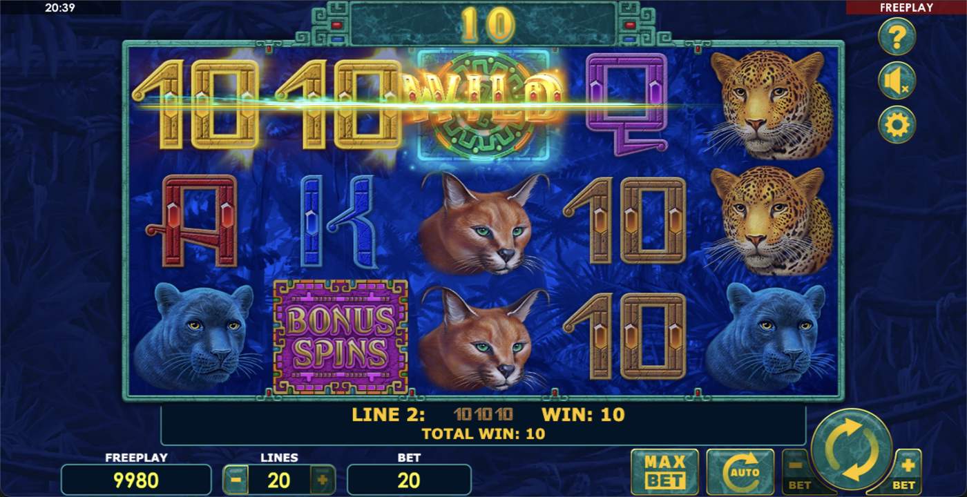 Super Cats: image of winning