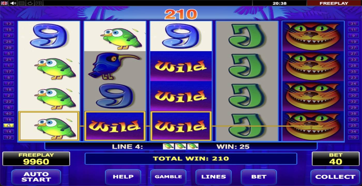 Tweety Birds: image of winning
