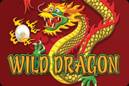 Wild Dragon Online Slot Logo